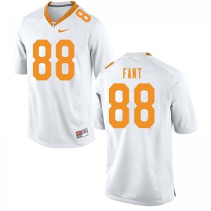 Men Tennessee Volunteers Princeton Fant #88 Stitched White Jerseys 520271-688
