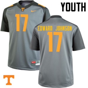 Youth Tennessee Volunteers Brandon Edward Johnson #17 Stitched Gray Jersey 219642-913