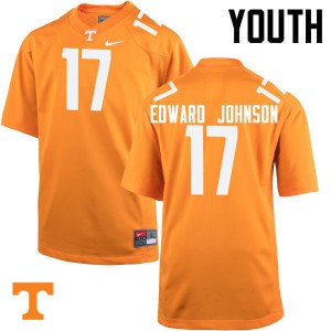 Youth Tennessee Volunteers Brandon Edward Johnson #17 Football Orange Jerseys 495992-787