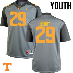 Youth Tennessee Volunteers Evan Berry #29 Stitch Gray Jerseys 978964-759