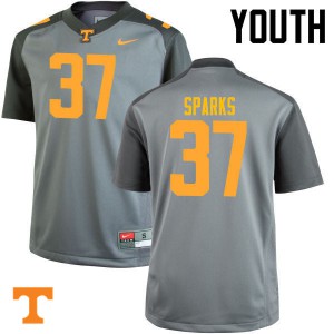 Youth Tennessee Volunteers Jayson Sparks #37 Official Gray Jerseys 988780-941