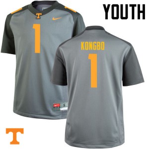 Youth Tennessee Volunteers Jonathan Kongbo #1 Stitch Gray Jersey 211477-737