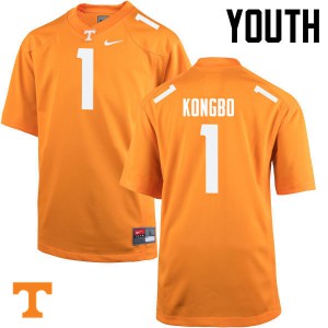 Youth Tennessee Volunteers Jonathan Kongbo #1 Player Orange Jerseys 265728-440