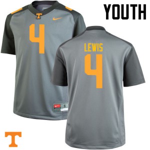 Youth Tennessee Volunteers LaTroy Lewis #4 Player Gray Jerseys 865631-110