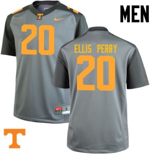 Men Tennessee Volunteers Vincent Ellis Perry #20 NCAA Gray Jerseys 717359-377