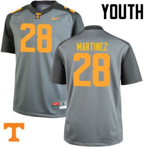 Youth Tennessee Volunteers Will Martinez #28 Gray Player Jerseys 784335-175