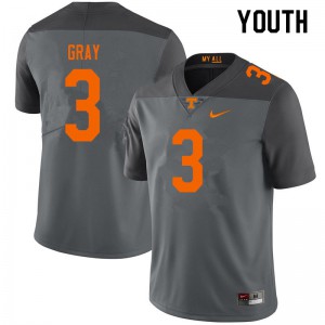 Youth Tennessee Volunteers Eric Gray #3 NCAA Gray Jersey 536669-749
