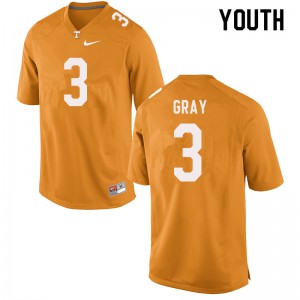 Youth Tennessee Volunteers Eric Gray #3 Orange Stitched Jersey 350702-846