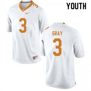 Youth Tennessee Volunteers Eric Gray #3 Stitch White Jersey 387395-279