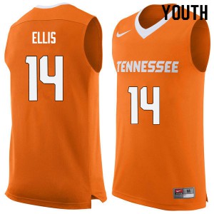 Youth Tennessee Volunteers Dale Ellis #14 Orange Embroidery Jersey 367029-976